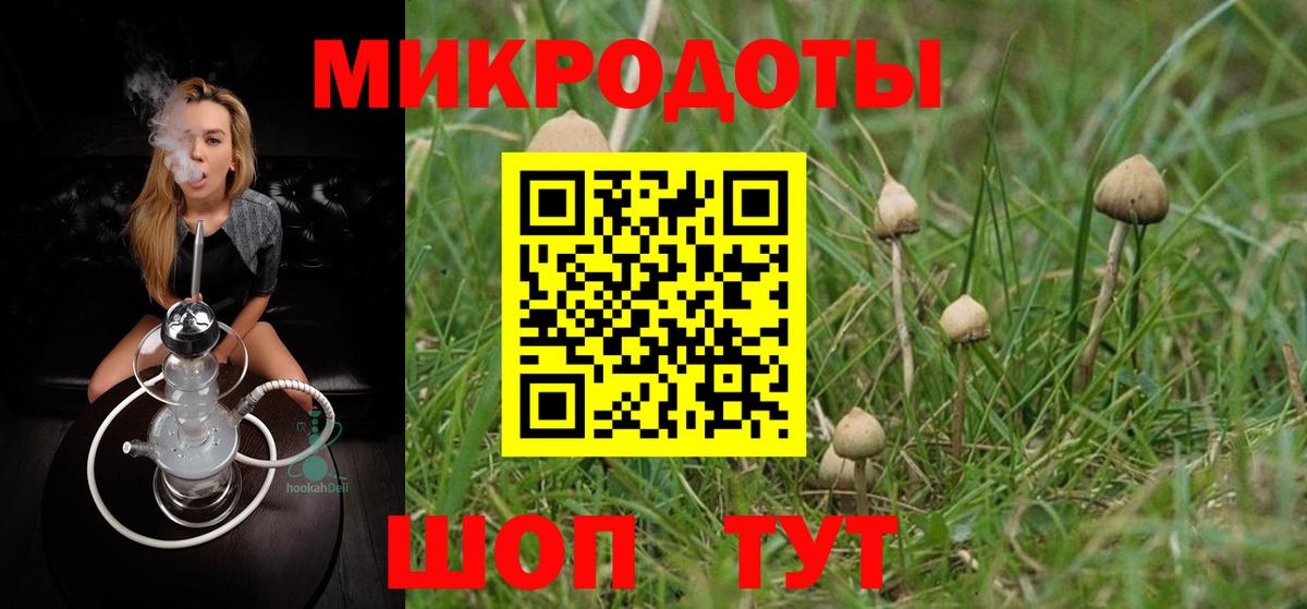Псилоцибиновые грибы Psilocybe  Псилоцибиновые грибы GOLDEN TEACHER  Лангепас  Вход с VPN 